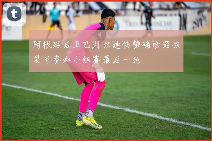 阿根廷后卫巴列尔迪伤势确诊若恢复可参加小组赛最后一轮